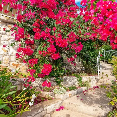 Apartment Prizba - 05